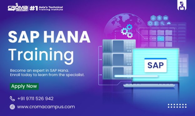 SAP HANA: Your Step By Step Directions For Shining In Interviews